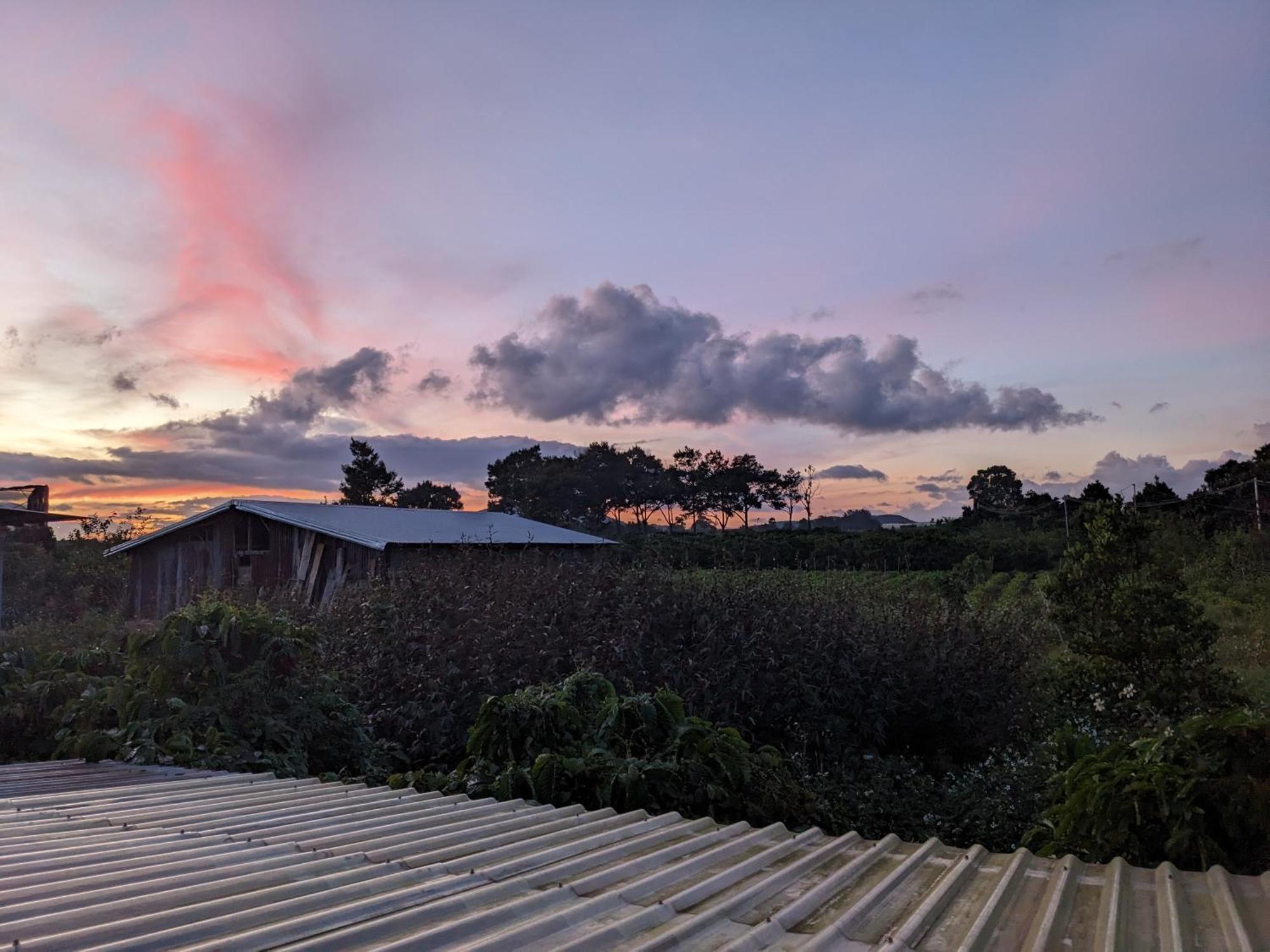 Ivy Coffee Farm - Garden House Διαμέρισμα Duc Trong Δωμάτιο φωτογραφία