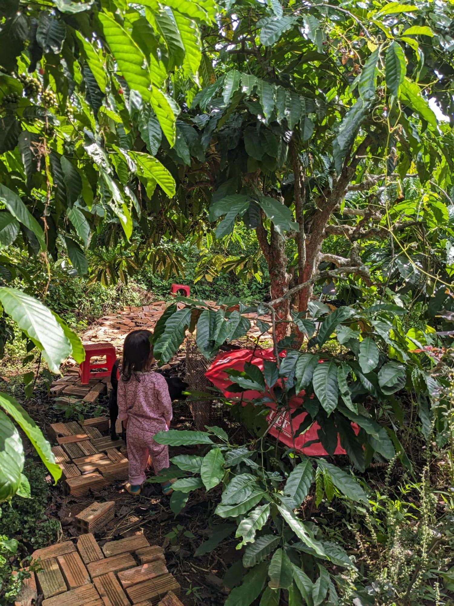 Ivy Coffee Farm - Garden House Διαμέρισμα Duc Trong Εξωτερικό φωτογραφία