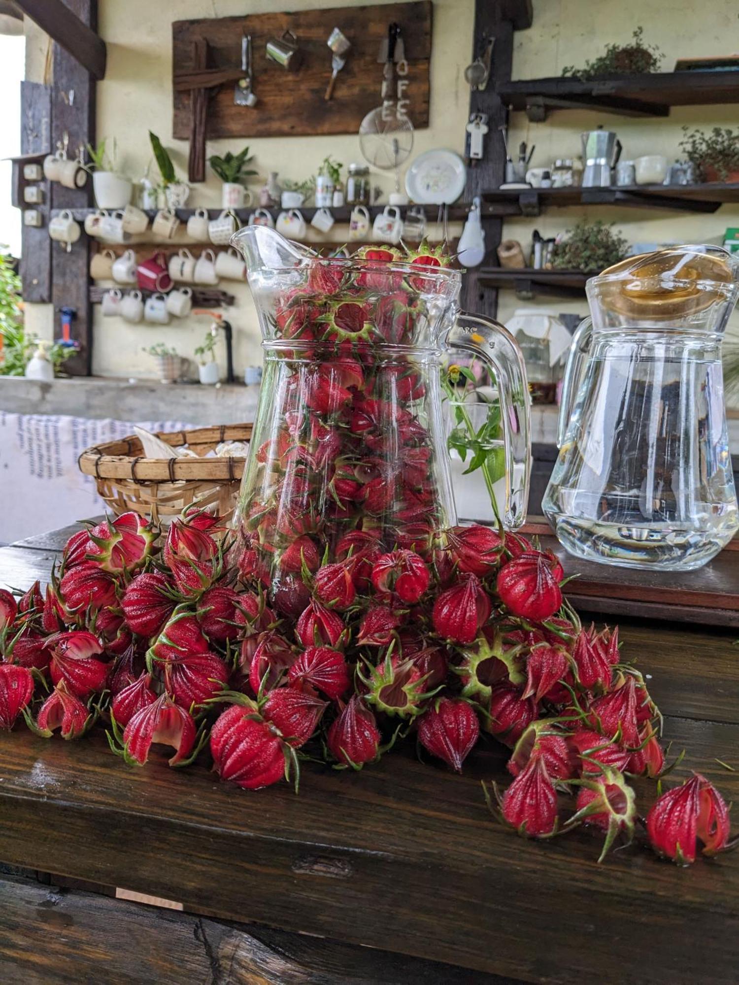 Ivy Coffee Farm - Garden House Διαμέρισμα Duc Trong Εξωτερικό φωτογραφία