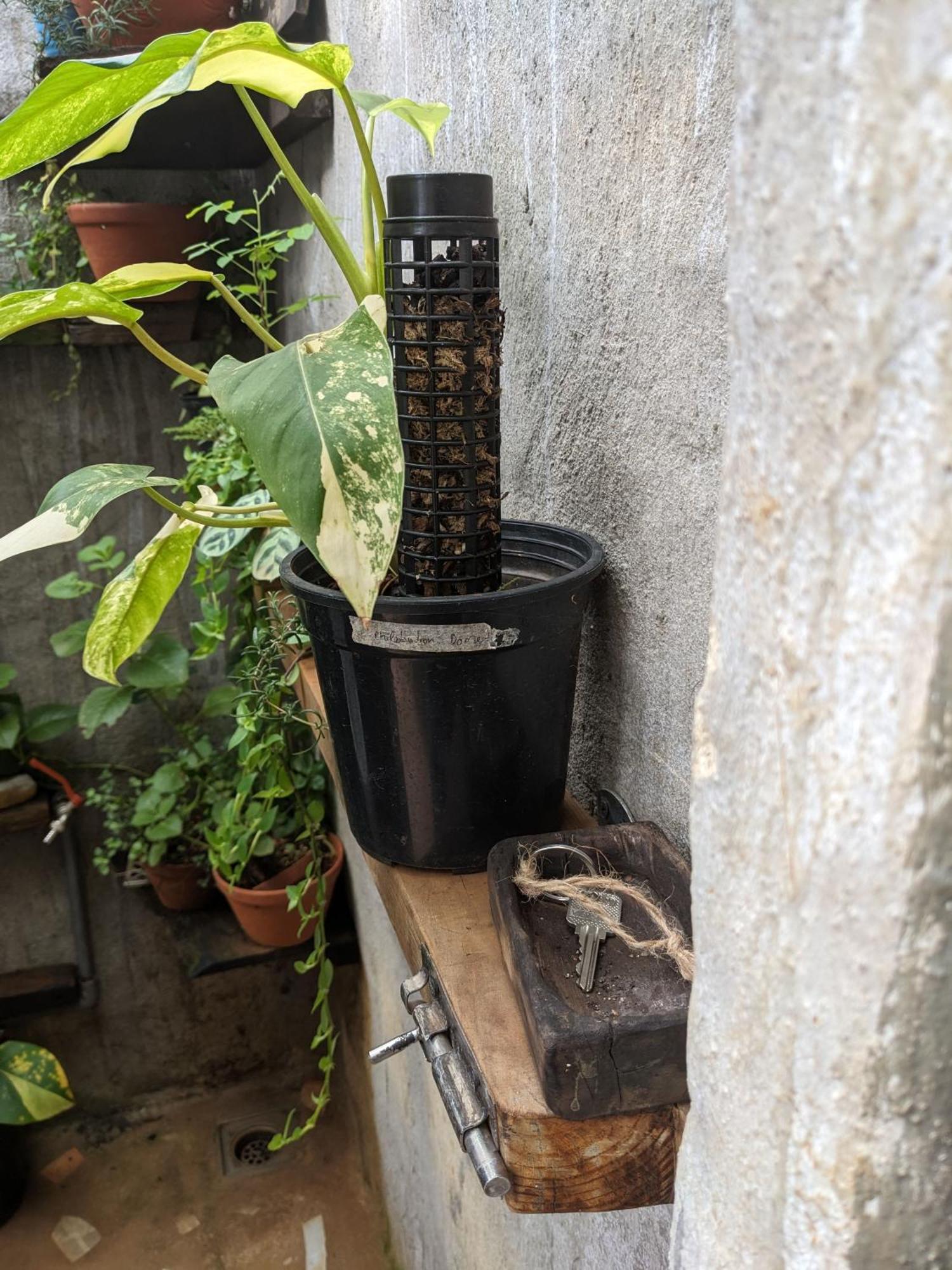 Ivy Coffee Farm - Garden House Διαμέρισμα Duc Trong Εξωτερικό φωτογραφία