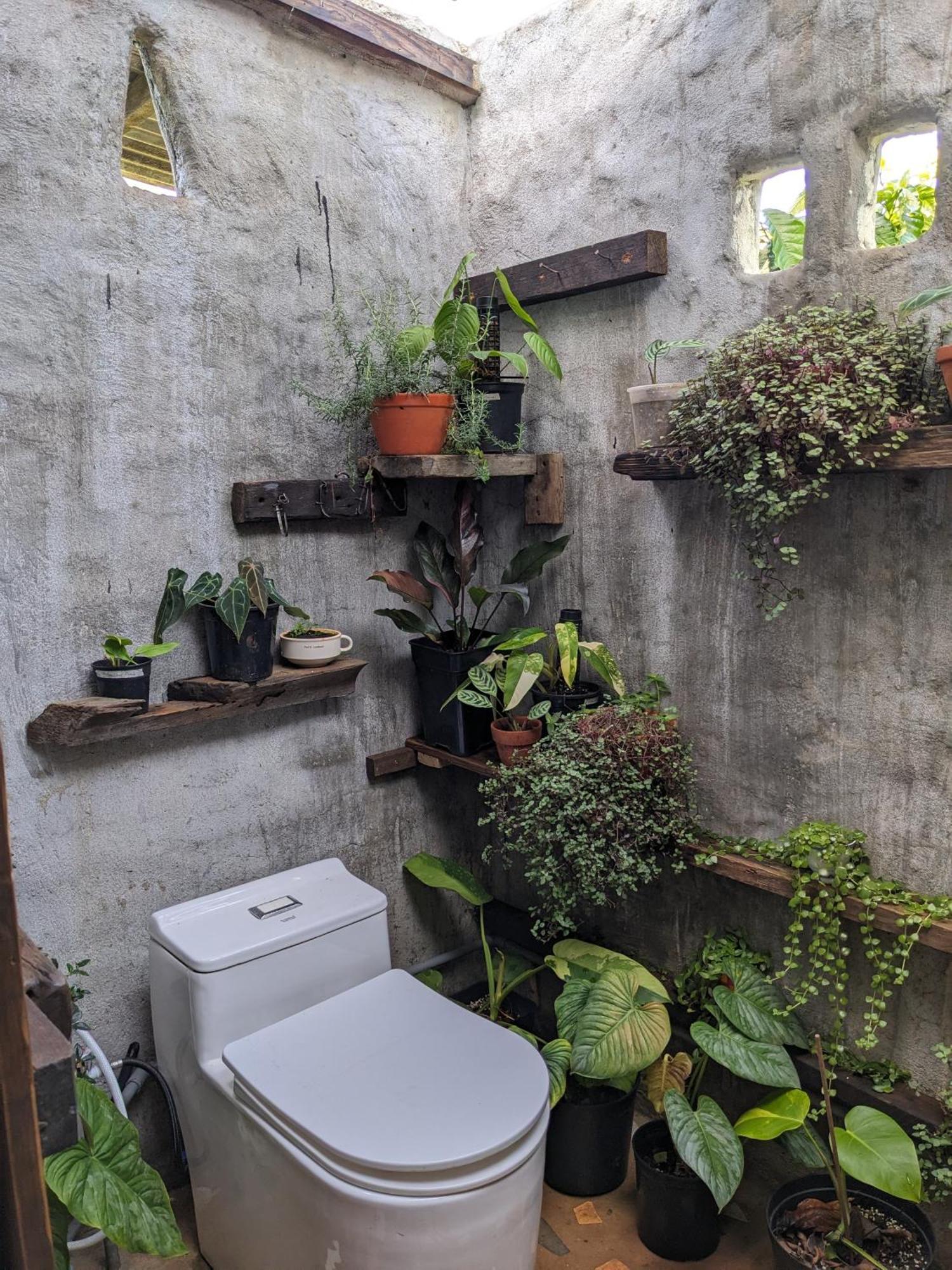 Ivy Coffee Farm - Garden House Διαμέρισμα Duc Trong Εξωτερικό φωτογραφία