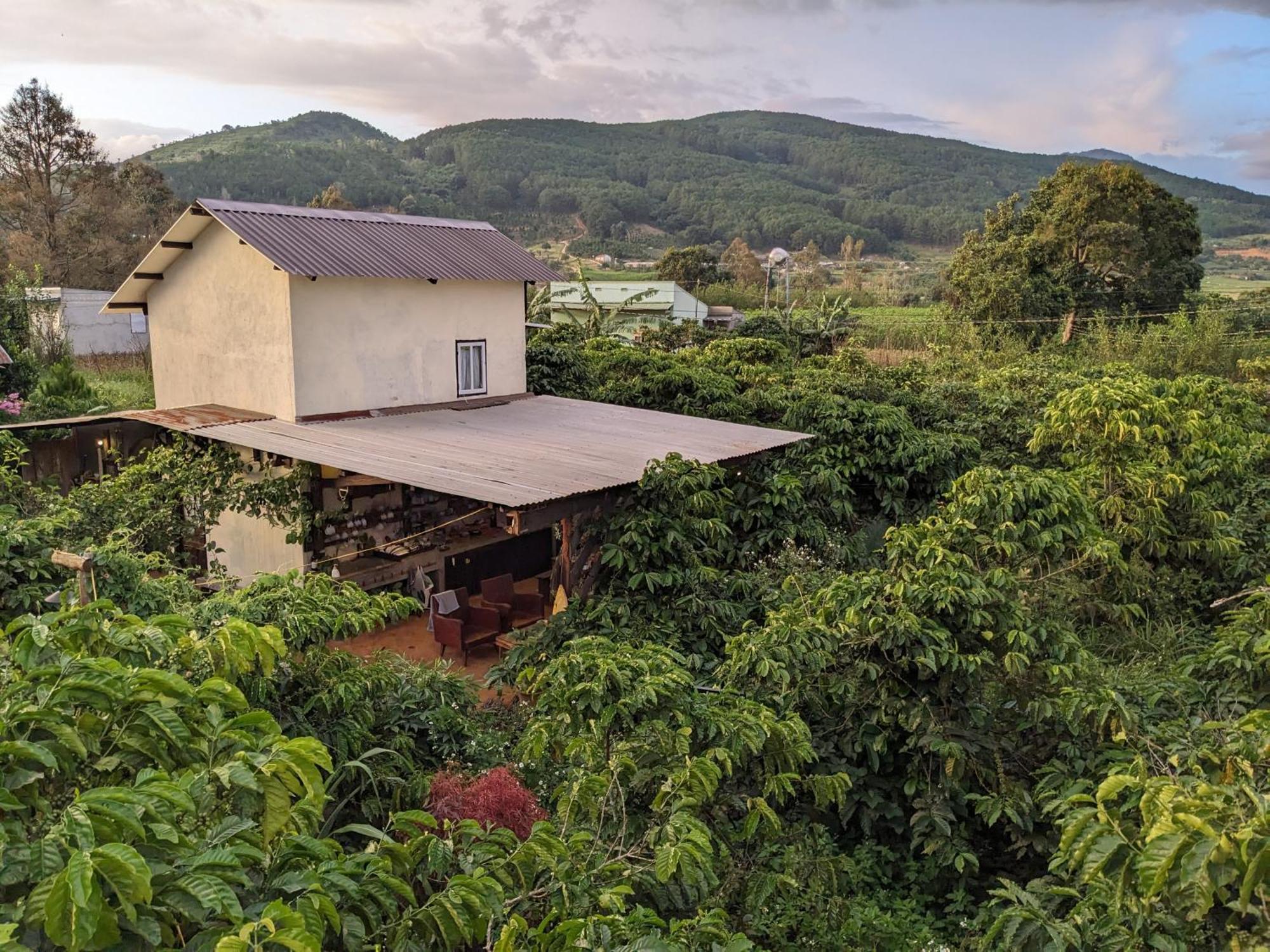 Ivy Coffee Farm - Garden House Διαμέρισμα Duc Trong Εξωτερικό φωτογραφία