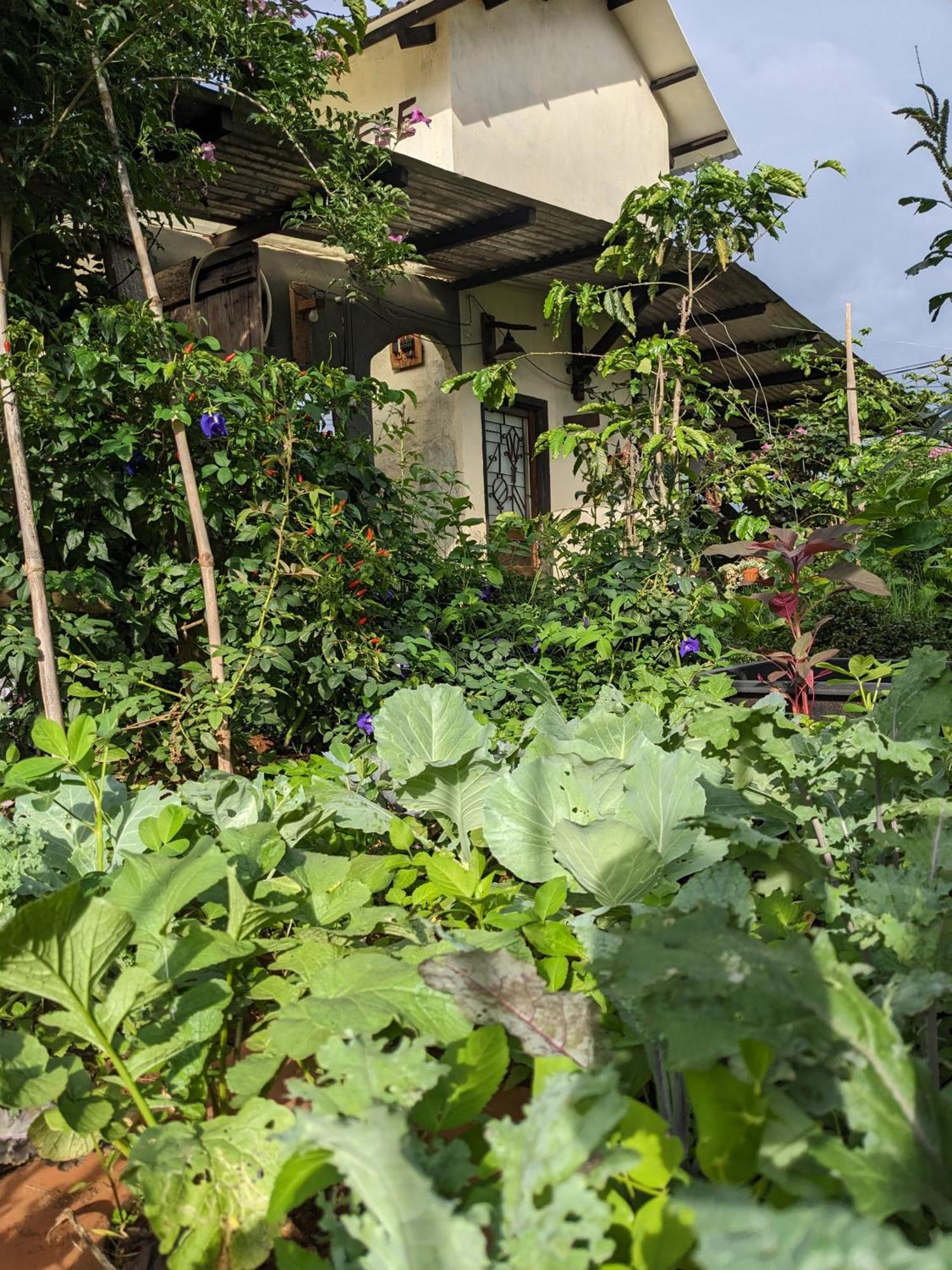 Ivy Coffee Farm - Garden House Διαμέρισμα Duc Trong Εξωτερικό φωτογραφία