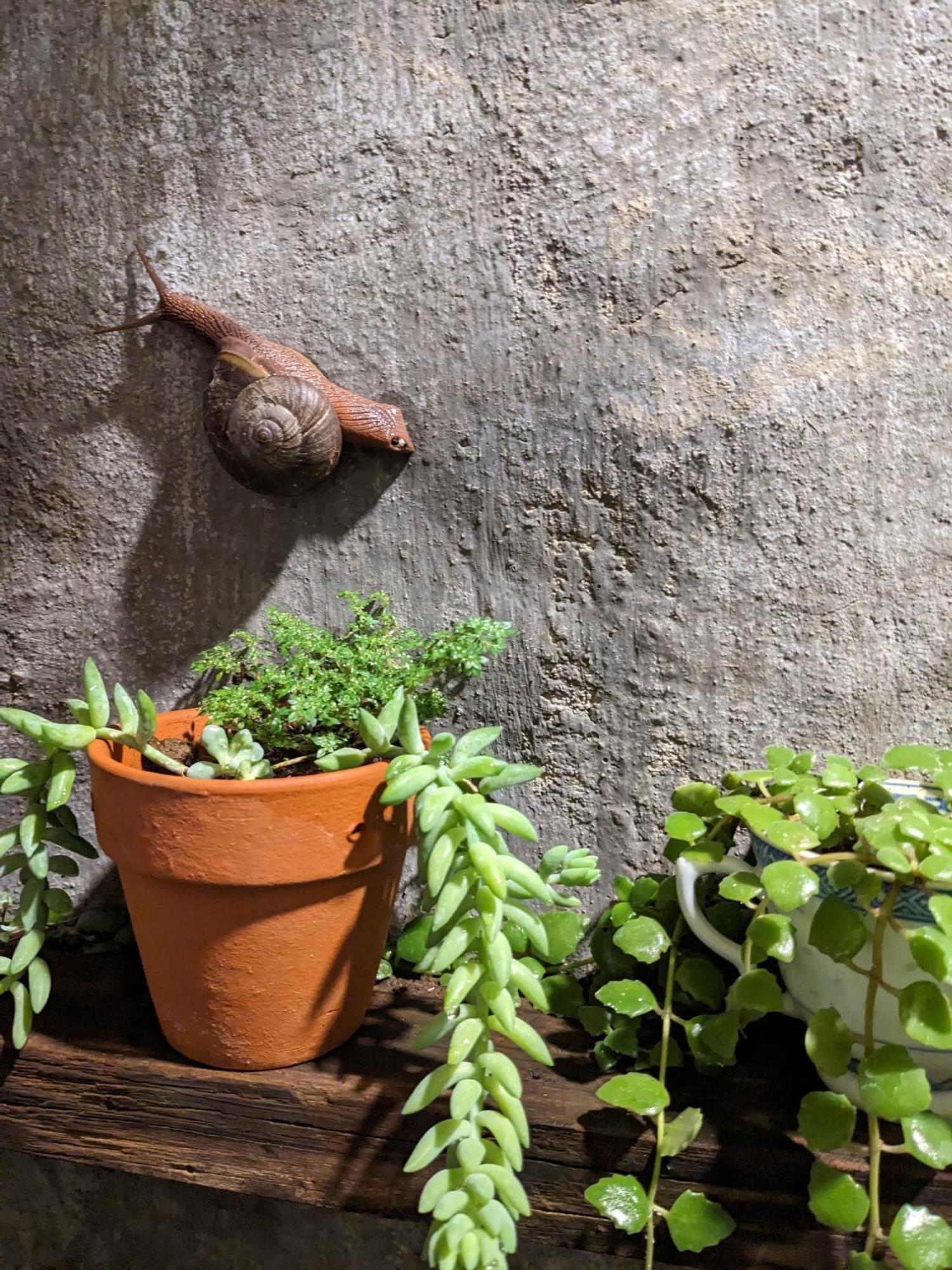 Ivy Coffee Farm - Garden House Διαμέρισμα Duc Trong Εξωτερικό φωτογραφία